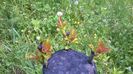 WP_20140506_018