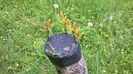 WP_20140506_019