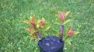 WP_20140506_023