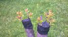 WP_20140506_024