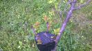 WP_20140506_025
