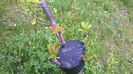 WP_20140506_026
