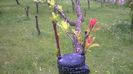 WP_20140506_027