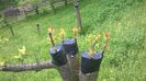 WP_20140506_029