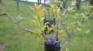 WP_20140506_030