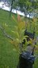 WP_20140506_032