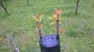 WP_20140506_033