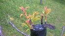 WP_20140506_034