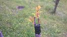 WP_20140506_035