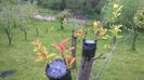 WP_20140506_037