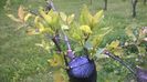 WP_20140506_038