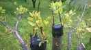 WP_20140506_039