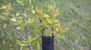 WP_20140506_041