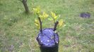WP_20140506_042
