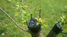 WP_20140506_043