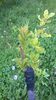 WP_20140506_085