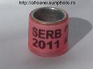 serb 2011