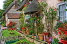 english-cottage-garden-flowers-twmijeob