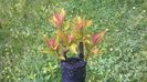 WP_20140506_021