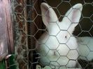 IMG_20140506_155937