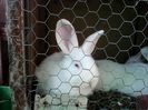 IMG_20140506_160012