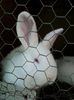 IMG_20140506_155959