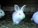 IMG_20140506_154653