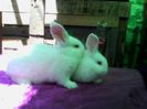 IMG_20140506_154510