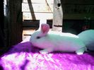 IMG_20140506_154411