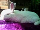 IMG_20140506_154200