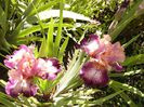 P1200671