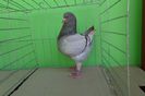 SAM_0850