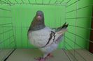 SAM_0852