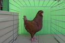 SAM_0854