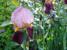 P1019067