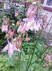 IMG_20140504_095336