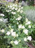 IMG_20140504_095358