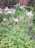 IMG_20140505_134826