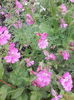 IMG_20140505_143303