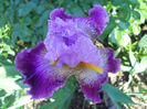 DSCN1693_002