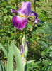 DSCN1698_007