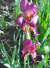 DSCN1699_008