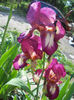 DSCN1701_010