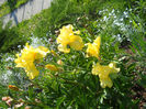 DSCN1710_019
