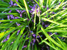 DSCN1726_035
