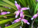 DSCN1727_036