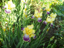DSCN1730_039
