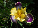 DSCN1729_038