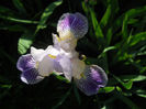 DSCN1731_040