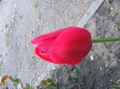 DSCF0399